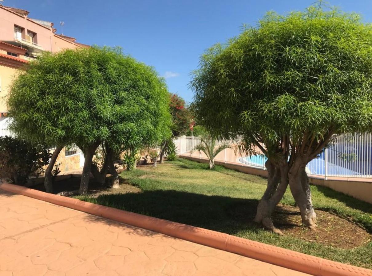 Oasis Del Duque Apartment アデヘ エクステリア 写真