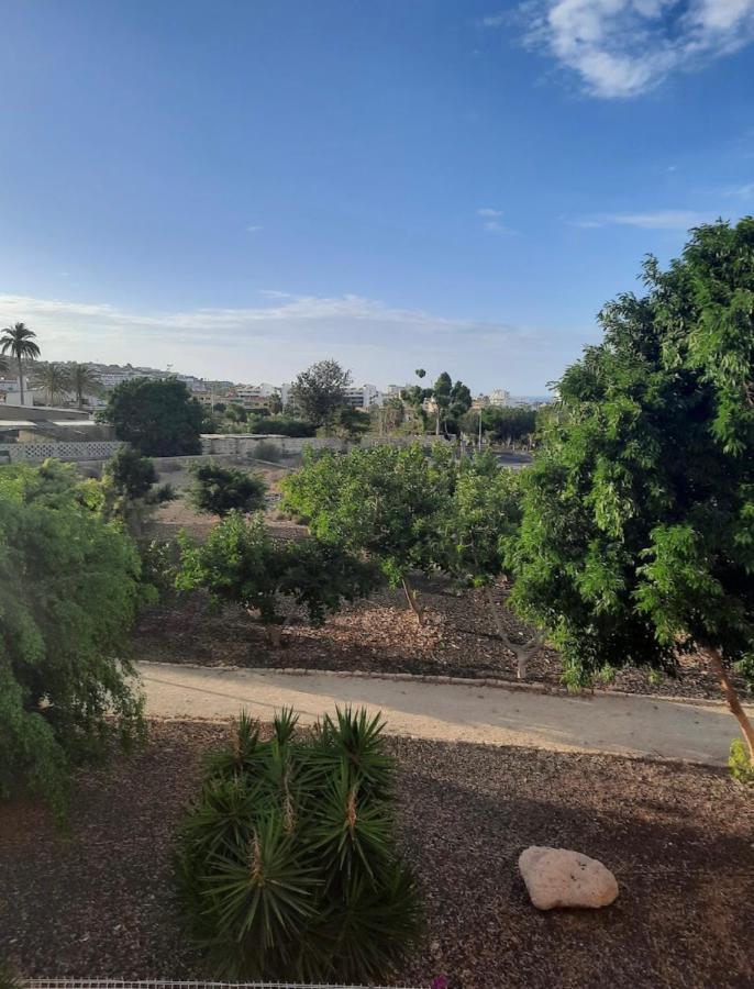 Oasis Del Duque Apartment アデヘ エクステリア 写真
